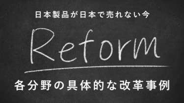 各分野での具体的な改革事例